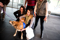 Stressbusters Event Therapy Dogs 12:14